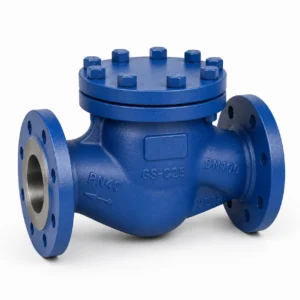 Lift check valve HN65 for industrial non return pipeline service
